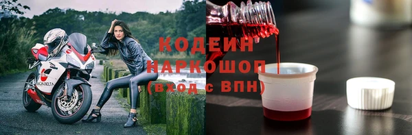 СК Медвежьегорск